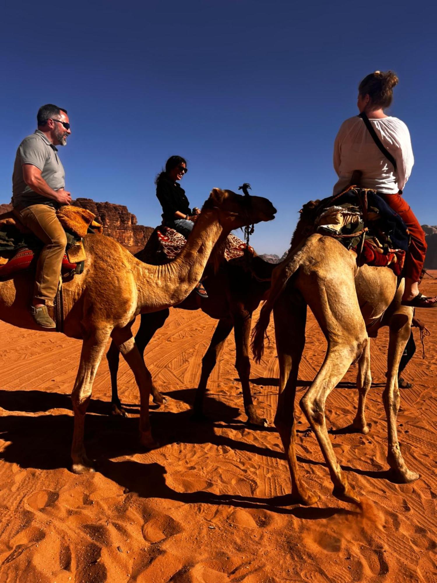 Desert Stars Rum Camp Wadi Rum Exteriör bild