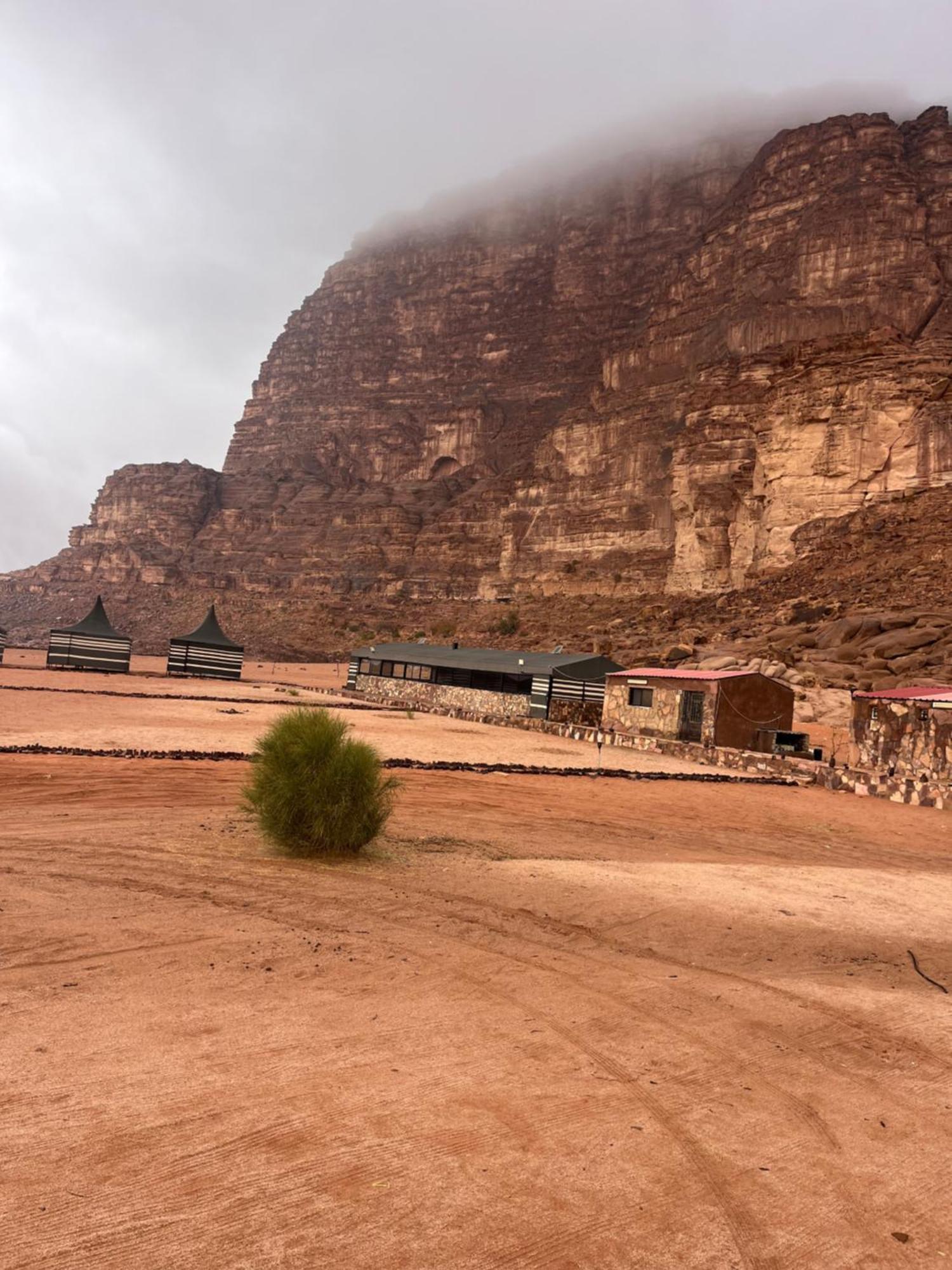 Desert Stars Rum Camp Wadi Rum Exteriör bild
